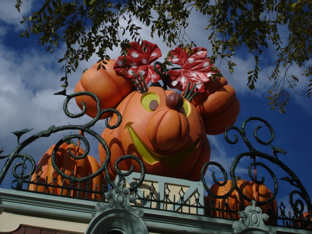Minnie in pumpkins