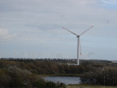 danish windmills