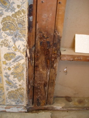 more dry rot