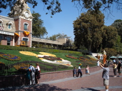 Mickey's pumpkin patch