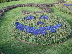flower pumpkins on 9/29/2006