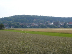 strullendorf countryside4