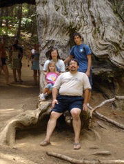 Outside the tunnel tree