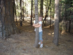 Our little tree hugger