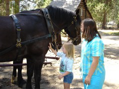 Kellyanne actually got close enough to pet the horse