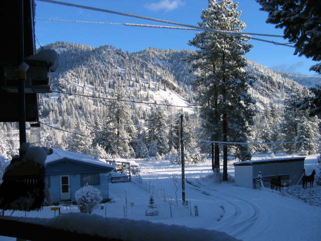 Outside Carol & Steve's bedroom window, looking out.