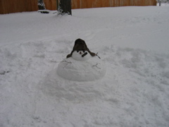 Our little and strange looking snowman!!!! LOL!!!!